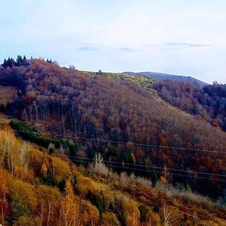 Apartman Sunny Days Kopaonik