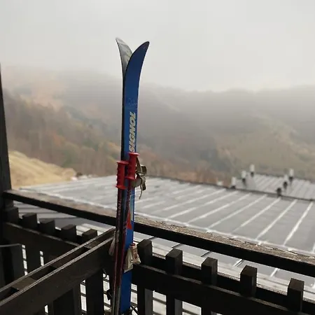 Sunny Days * Kopaonik