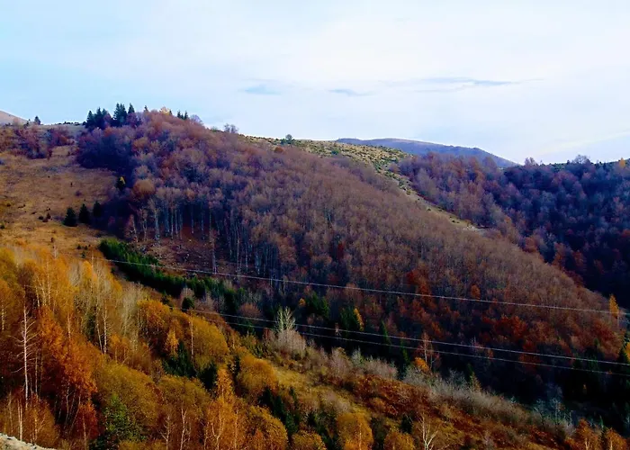 公寓 Sunny Days 科帕奥尼克