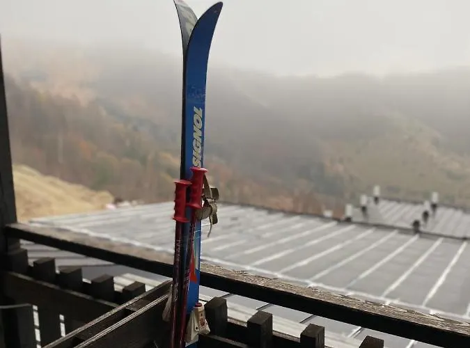 Sunny Days * 科帕奥尼克