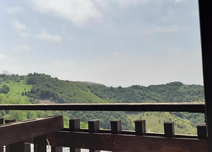 Sunny Days 公寓 科帕奥尼克