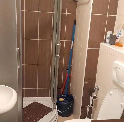 Sunny Days * 科帕奥尼克