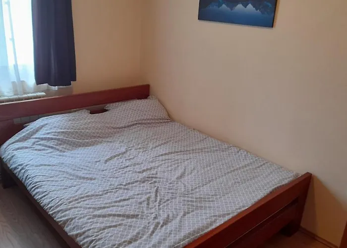 公寓 Sunny Days 科帕奥尼克