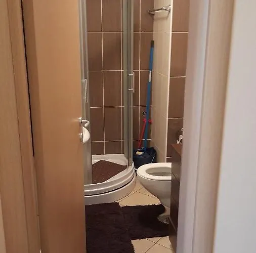 Sunny Days 科帕奥尼克