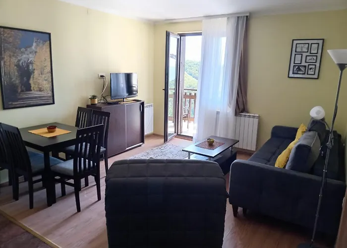 Sunny Days * 科帕奥尼克